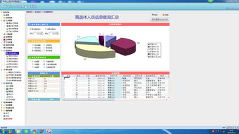 離退休信息管理系統(tǒng) 自學(xué)access快速開發(fā)平臺為本部門開發(fā)的管理軟件及源碼分享 陳強專欄